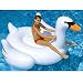International Leisure Giant Swan