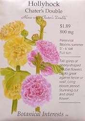 Hollyhock Chaters Double Seeds 100 Seeds