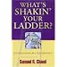 What's Shakin' Your Ladder? 15 Challenges All Leaders Face