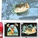 3D CAR WINDOW DECALS