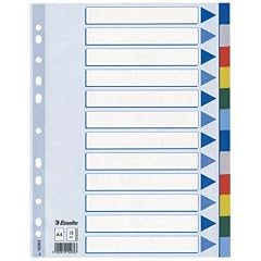 Esselte Plastik-Blanco-Register DIN A4, 12-teilig,15262