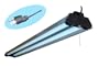 Archipelago Lighting SL2-SS 120-Volt 48-Inch Shop Light with 7-Inch Reflector, Stainless Steel Powder Coat