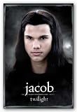 Twilight - Jacob Solo by Anonymous 36