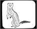 Mouse Pad with cat, ferret, mere
