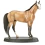 American Quarter Horse Best in Show