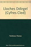 Lloches ddirgel