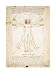 Human Proportions-Vitruvian Man by Leonardo Da Vinci Fine Art Print / Poster 9.50 x 1...