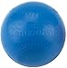 Markwort The Cannonball Weighted Ball (Blue)