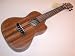 Luna 23 Inch High-Tide Koa Concert Ukulele