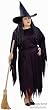 Adult Women's Plus Size Witch Halloween Costume (14-20)
