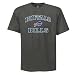 NFL Buffalo Bills Heart And Soul II Adult Short-Sleeved Basic Tee