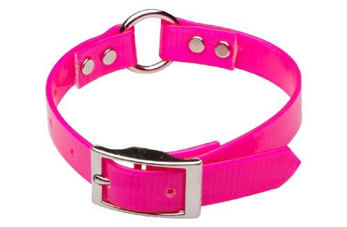 Premier Nite Lite Day-Glo Collar in Pink, Ring in Center, 1 x 23