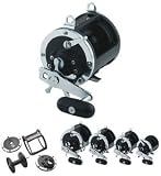 Daiwa Sealine 600H Saltwater Conventional Reel