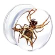 18mm Organic Spider Resin Saddle Plug