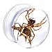 18mm Organic Spider Resin Saddle Plug