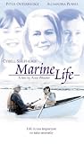 Marine Life