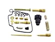 Freedom County ATV FC48053501 Carburetor Rebuild Kit for Honda TRX350 Rancher