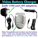 Battery for Casio QV-3EX PLUS