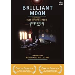 Brilliant Moon