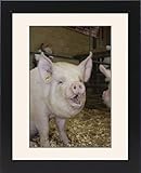 IMAGE OF Framed Prints of from Flpa