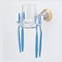 American Standard 8040.061.228 Prairie Field Clear Glass Tumbler/Toothbrush Holder, Chrome with Polished Brass Accents