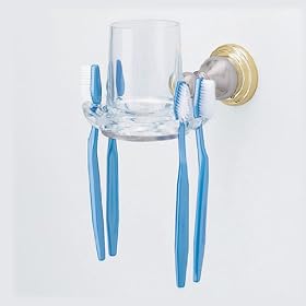 American Standard 8040.061.228 Prairie Field Clear Glass Tumbler/Toothbrush Holder, Chrome with Polished Brass Accents