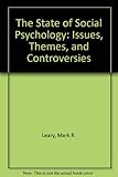 The state of social psychology : issues, themes, and controversies