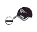 Orioles Platinum Sweeper