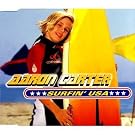Surfin Usa [CD 1]