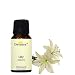 Devinez Lilly Floral Water, 100% Pure & Undiluted, 30ml RS.349.00