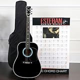 Esteban American Legacy Limited Edition Black - Turquoise Guitar - Blem