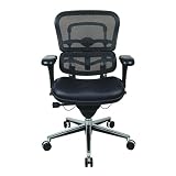 Eurotech Ergohuman Mesh Ergonomic Chair w/Leather Seat