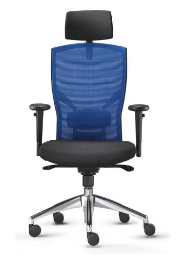 X-Prit Executive Mesh Ergonomic Office Chair with Hyper-Active Lumbar Support - Blue