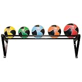 Power Systems Wall-Mounted Med Ball Rack