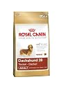Royal Canin Dachshund 28 Dry Mix 6 kg