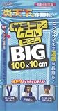 ＡＩＯＮ　サモコンクールＢＩＧタイプホワイト　4998472 PTK005