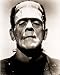 Boris Karloff Frankenstein B&W 16x20 Photo Image