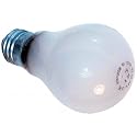 Rough Service Bulbs 24V 60W ES