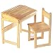 Craftsman Student Desk & Chair