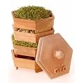GEO Terracotta Sprouter