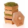 GEO Terracotta Sprouter