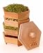 Kitchen & Housewares : GEO Terracotta Sprouter