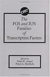 The FOS and JUN Families of Transcription Factors