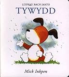 Tywydd