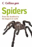 Spiders (Collins GEM)