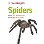 Spiders (Collins GEM)