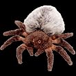 Ty Beanie Babies Hairy the Spider