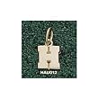 Harvard Univ "H" 5/16" Charm/Pendant