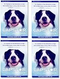 NEW! 4 PACK CAPSTAR Green for Dogs over 25 lbs(24 tablets)