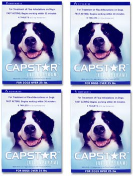 NEW! 4 PACK CAPSTAR Green for Dogs over 25 lbs(24 tablets)
